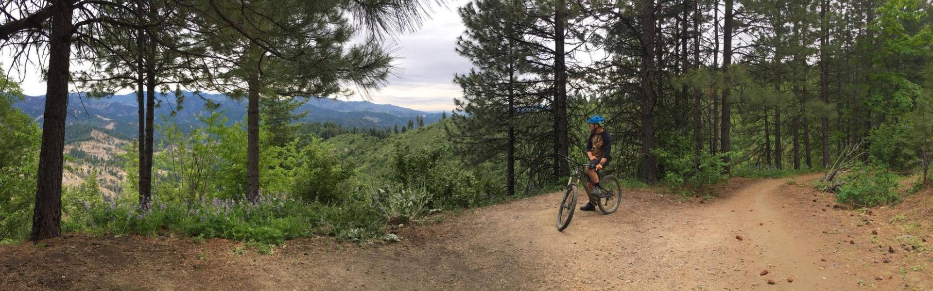 Evergreen mountain deals bike alliance